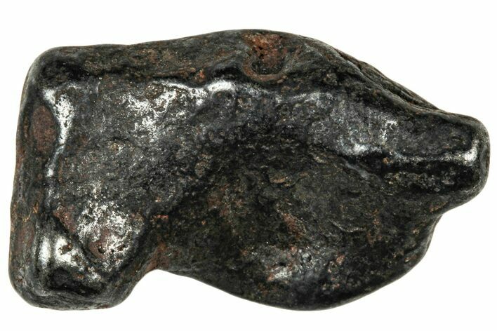 Agoudal Iron Meteorite ( g) - Morocco #303929